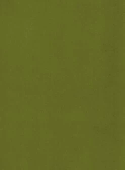 Habitat Alexis Velvet Cocktail Chair - Olive -Habitat Store 1341287 R B001