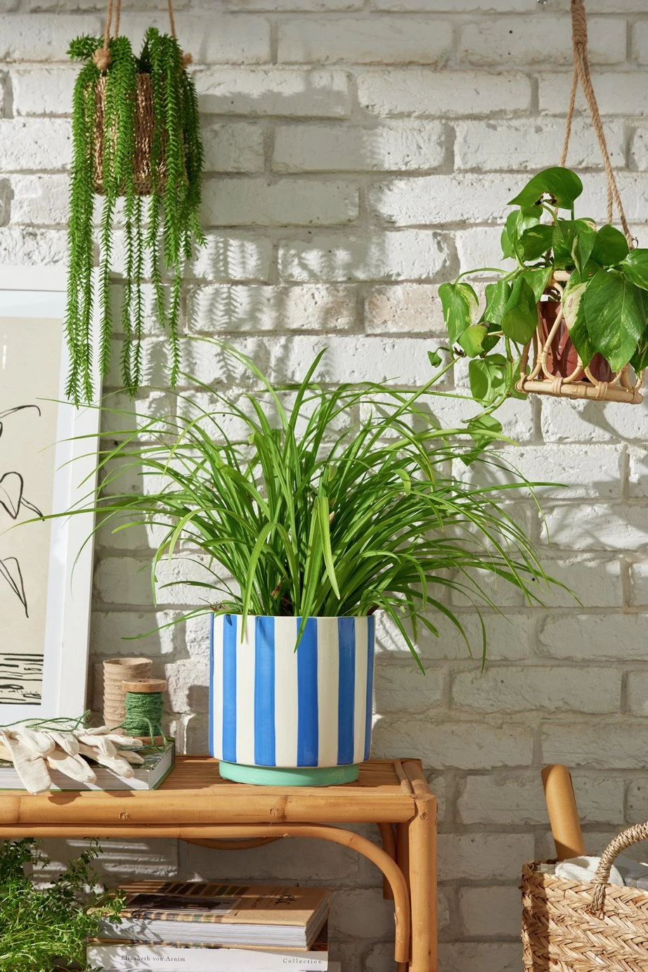 Habitat Blue Stripe Ceramic Planter 2 Habitat Blue Stripe Ceramic Planter - Image 2