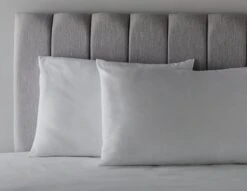 Habitat Anti-Allergy Firm Pillow - 2 Pack -Habitat Store 2910765 R Z004C