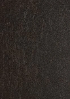 Habitat Salisbury Leather 2 Seater Sofa - Chocolate -Habitat Store 3336348 R B001