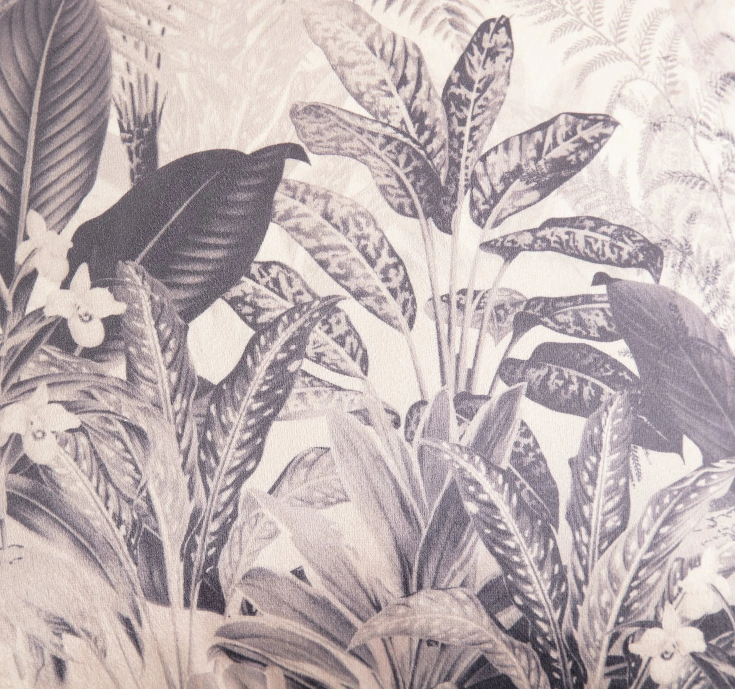 Habitat Tropical Fringed Cushion - Multi - 50x50cm 3 Habitat Tropical Fringed Cushion - Multi - 50x50cm - Image 3