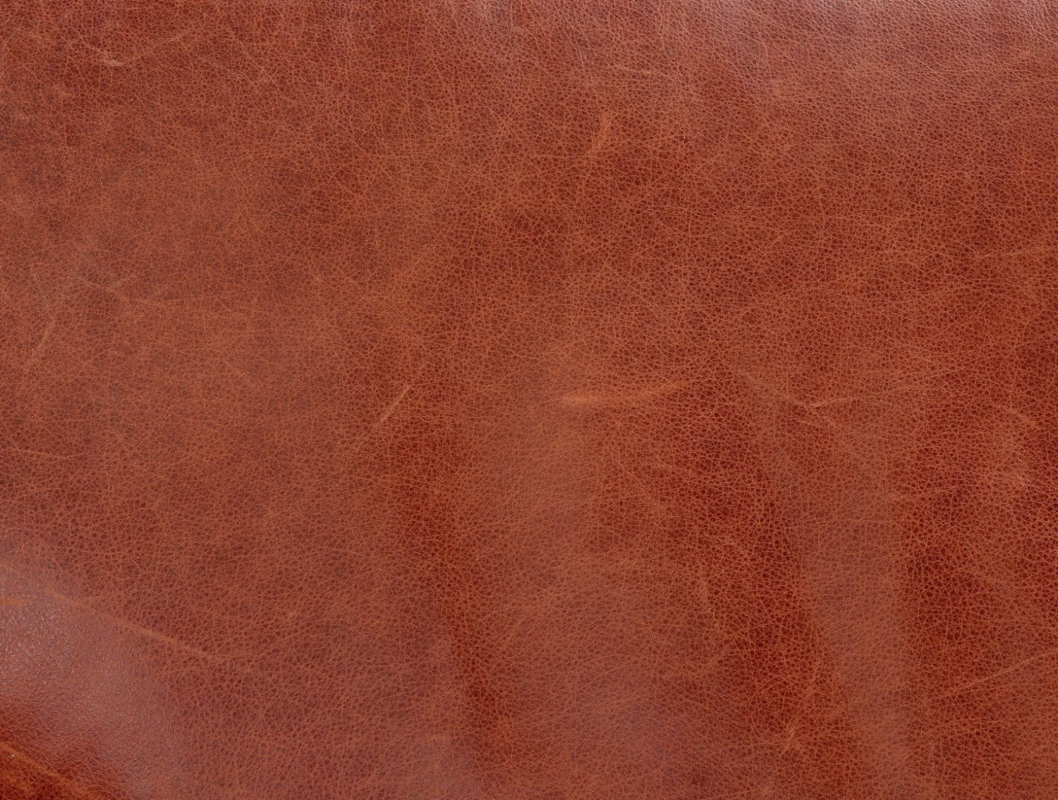 Habitat Livingston Leather 3 Seater Sofa - Tan 3 Habitat Livingston Leather 3 Seater Sofa - Tan - Image 3