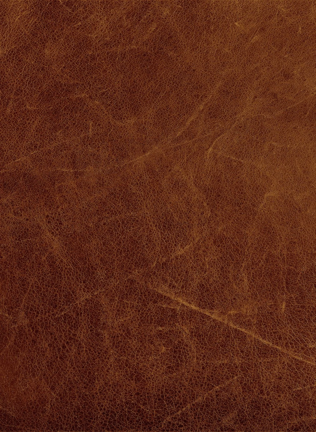 Habitat Livingston Leather 2 Seater Sofa - Tan 2 Habitat Livingston Leather 2 Seater Sofa - Tan - Image 2