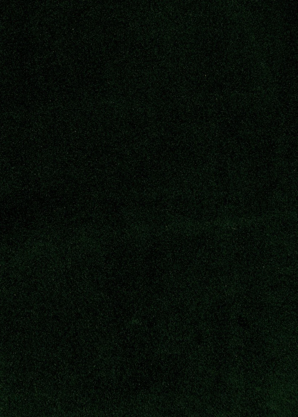 Habitat Callie Velvet Wingback Chair - Forest Green 2 Habitat Callie Velvet Wingback Chair - Forest Green - Image 2