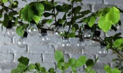 Habitat 20 Warm White Festoon Solar Lights -Habitat Store 9133916 R Z006A