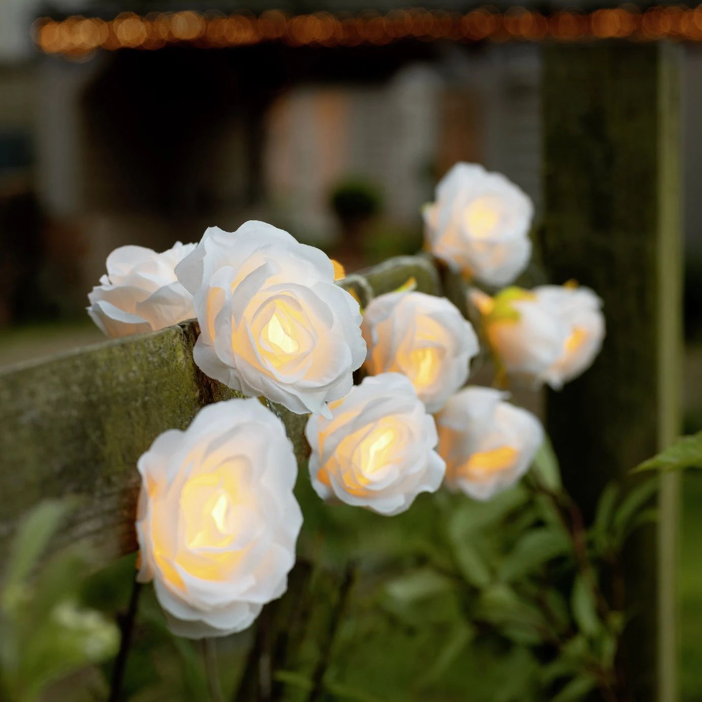 Habitat Warm White Solar Rose LED String Lights 1 Habitat Warm White Solar Rose LED String Lights