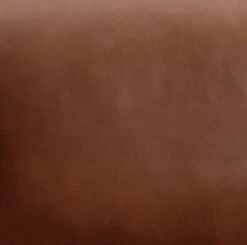 Habitat Florence Leather Armchair - Tan -Habitat Store 9600511 R B001